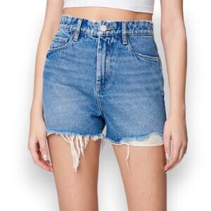 Blank NYC The Reeve Denim Cutoff Shorts in Cruise Control 25